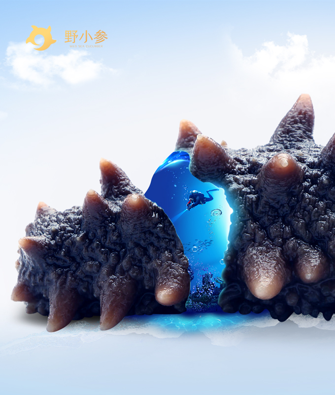 設(shè)計制作高端網(wǎng)站