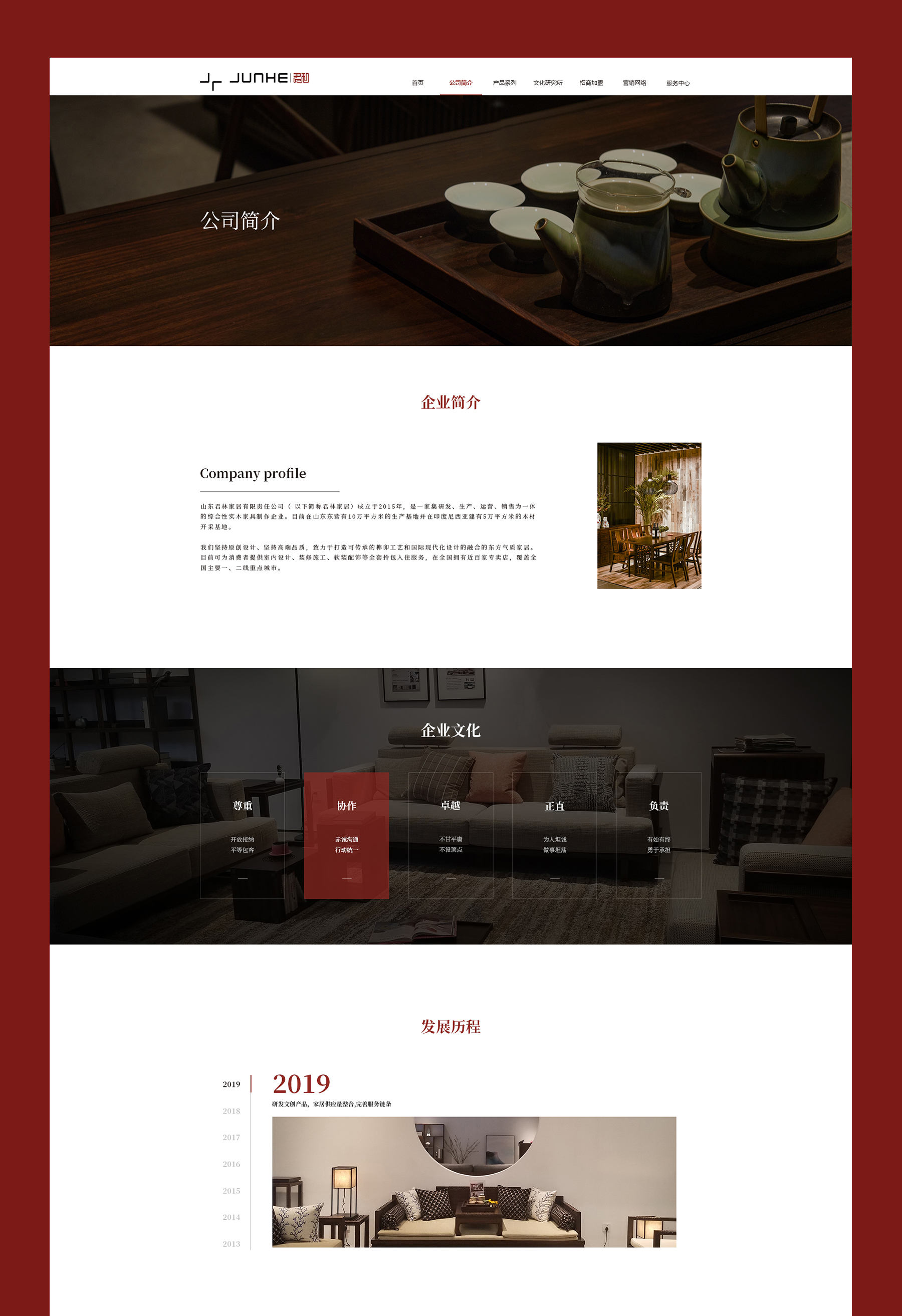 公司簡(jiǎn)介頁(yè)面開發(fā) 專業(yè)網(wǎng)站開發(fā)jpg